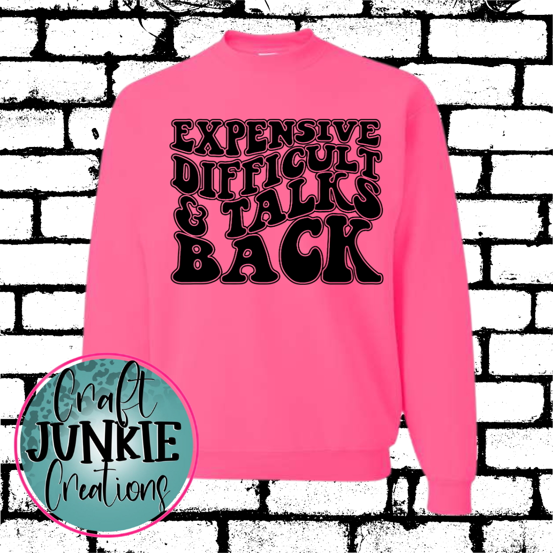 Expensive Difficult & Talks Back Sweatshirt/Hoodie