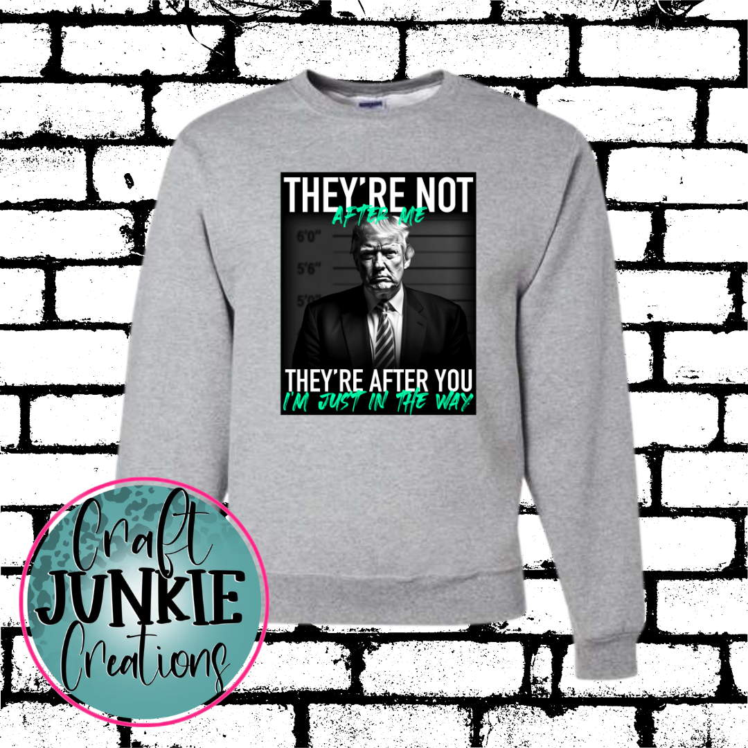 They're not after me mint Sweatshirt/Hoodie